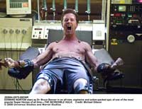 The Incredible Hulk - 8 x 10 Color Photo #21