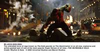 The Incredible Hulk - 8 x 10 Color Photo #33