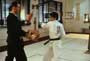 The Karate Kid - 8 x 10 Color Photo #10
