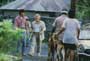 The Karate Kid: Part 2 - 8 x 10 Color Photo #4