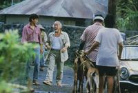 The Karate Kid: Part 2 - 8 x 10 Color Photo #4