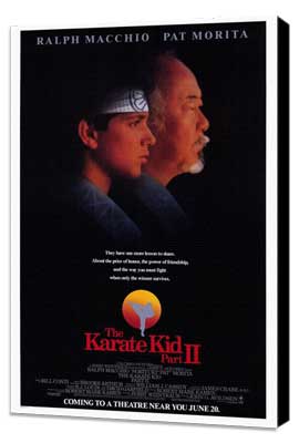 The Karate Kid: Part 2 - 27 x