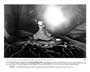 The Land Before Time - 8 x 10 B&W Photo #3