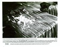 The Land Before Time - 8 x 10 B&W Photo #7
