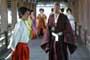 The Last Samurai - 8 x 10 Color Photo #7