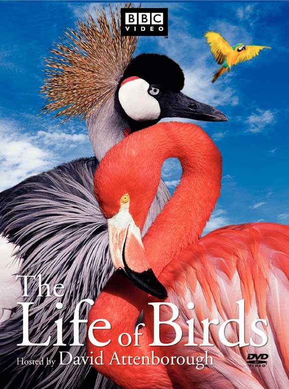 The Life of Birds movie