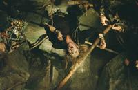 The Lost Boys - 8 x 10 Color Photo #17