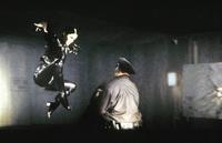 The Matrix - 8 x 10 Color Photo #5