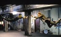 The Matrix - 8 x 10 Color Photo #6