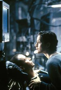 The Matrix - 8 x 10 Color Photo #7