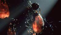 The Matrix - 8 x 10 Color Photo #13