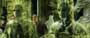 The Matrix Reloaded - 8 x 10 Color Photo #14