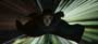 The Matrix Reloaded - 8 x 10 Color Photo #30