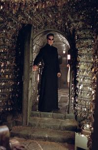 The Matrix Reloaded - 8 x 10 Color Photo #7
