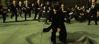 The Matrix Reloaded - 8 x 10 Color Photo #24