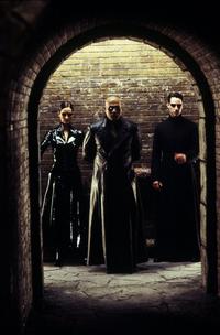 The Matrix Reloaded - 8 x 10 Color Photo #37
