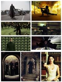 The Matrix Reloaded - Set of 49 - 8 x 10 Color Photos