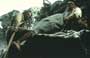 The Mission - 8 x 10 Color Photo #2