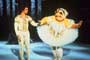 The Muppet Show - 8 x 10 Color Photo #9