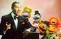 The Muppet Show - 8 x 10 Color Photo #18
