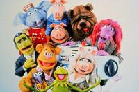 The Muppet Show - 8 x 10 Color Photo #1