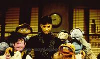 The Muppet Show - 8 x 10 Color Photo #3