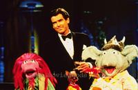 The Muppet Show - 8 x 10 Color Photo #4