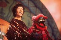 The Muppet Show - 8 x 10 Color Photo #6