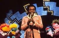 The Muppet Show - 8 x 10 Color Photo #7