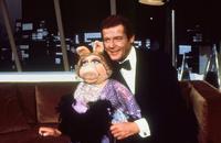 The Muppet Show - 8 x 10 Color Photo #8