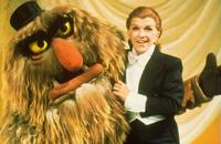 The Muppet Show - 8 x 10 Color Photo #15
