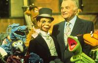 The Muppet Show - 8 x 10 Color Photo #16