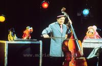 The Muppet Show - 8 x 10 Color Photo #17