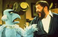 The Muppet Show - 8 x 10 Color Photo #19