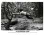 The NeverEnding Story - 8 x 10 B&W Photo #2