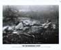 The NeverEnding Story - 8 x 10 B&W Photo #12