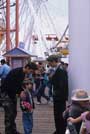 The Next Best Thing - 8 x 10 Color Photo #1