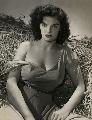 The Outlaw - 8 x 10 Color Photo #1