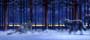 The Polar Express - 8 x 10 Color Photo #3
