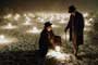 The Prestige - 8 x 10 Color Photo #34