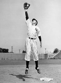 The Pride of the Yankees - 8 x 10 B&W Photo #8