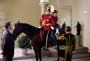 The Prince and Me - 8 x 10 Color Photo #2