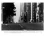 The Professional - 8 x 10 B&W Photo #1