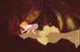 Rescuers, The - 8 x 10 Color Photo #6