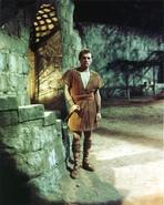 The Robe - Robe Man in Brown Tunic