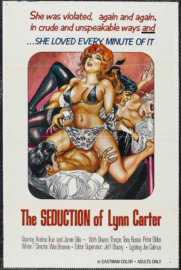 The Seduction of Lyn Carter movie