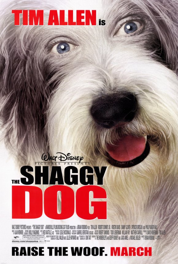 shaggy dog