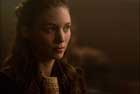 The Social Network - 8 x 10 Color Photo #24