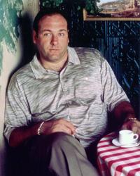 The Sopranos - 8 x 10 Color Photo #60