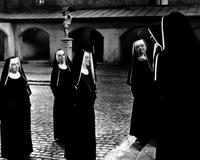 The Sound of Music - 8 x 10 B&W Photo #17